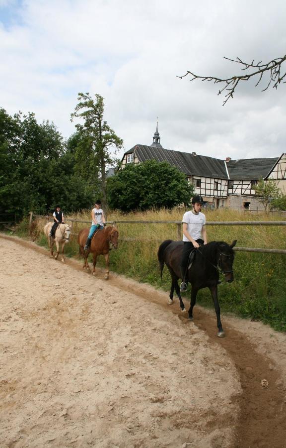 Pferd - Spass - Entspannung Staitz エクステリア 写真