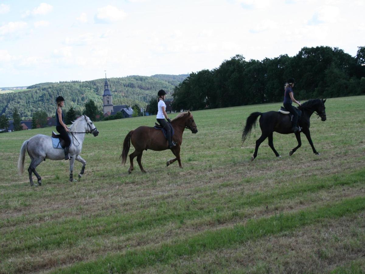 Pferd - Spass - Entspannung Staitz エクステリア 写真
