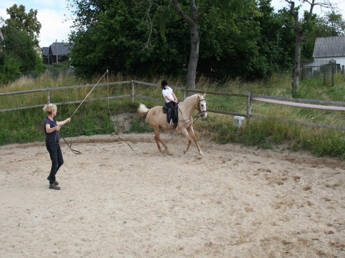 Pferd - Spass - Entspannung Staitz エクステリア 写真