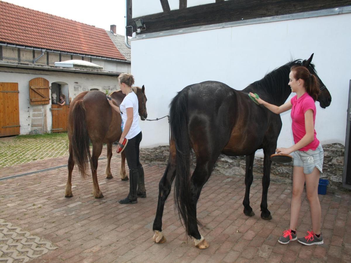 Pferd - Spass - Entspannung Staitz エクステリア 写真